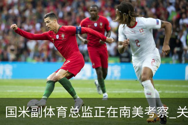 国米副体育总监正在南美考察 关注这4名球员